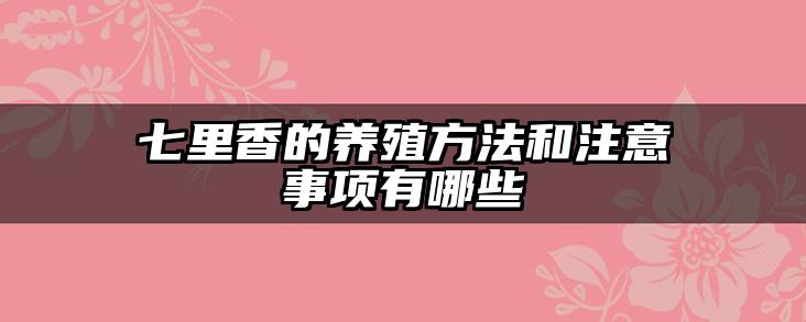 七里香的养殖方法和注意事项有哪些