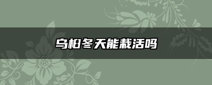 乌桕冬天能栽活吗