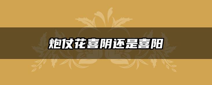 炮仗花喜阴还是喜阳