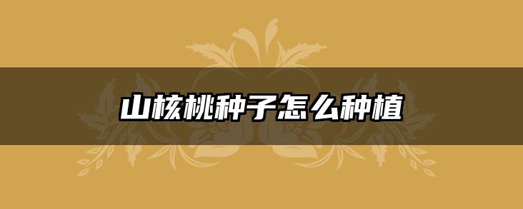 山核桃种子怎么种植