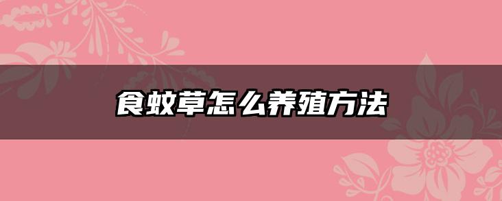 食蚊草怎么养殖方法