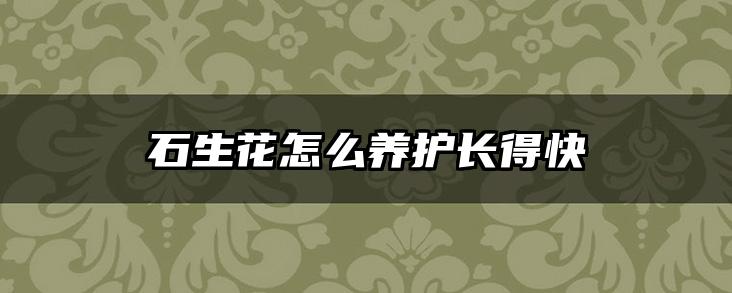 石生花怎么养护长得快