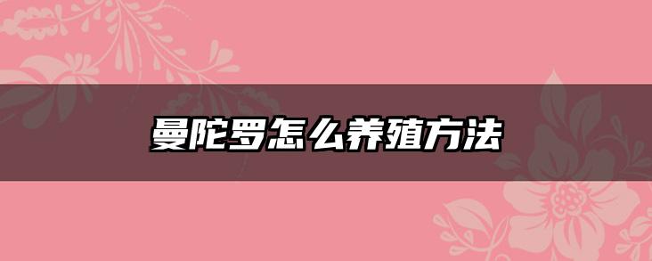 曼陀罗怎么养殖方法