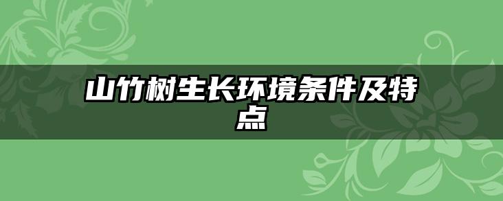 山竹树生长环境条件及特点