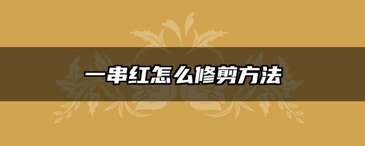 一串红怎么修剪方法