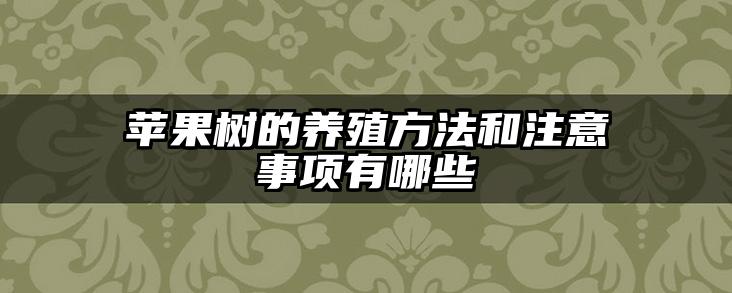 苹果树的养殖方法和注意事项有哪些