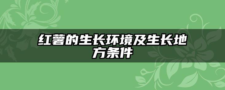 红薯的生长环境及生长地方条件