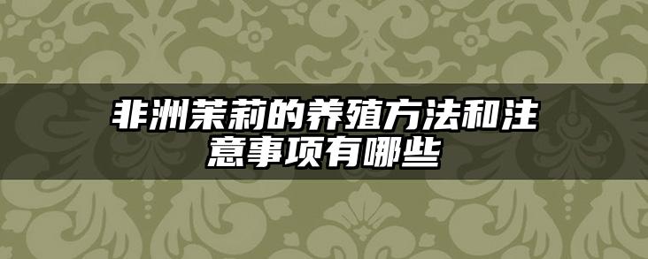 非洲茉莉的养殖方法和注意事项有哪些