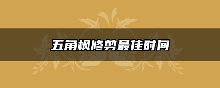 五角枫修剪最佳时间