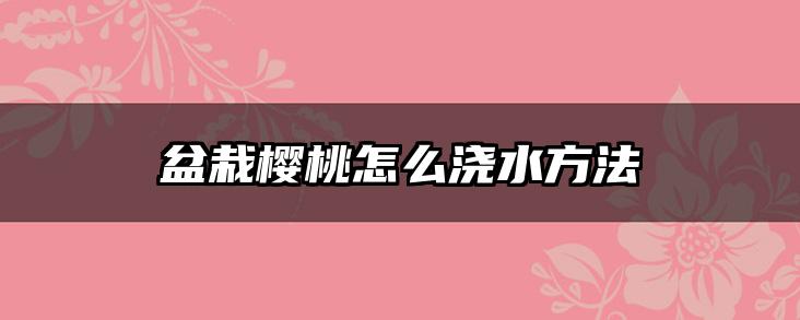 盆栽樱桃怎么浇水方法