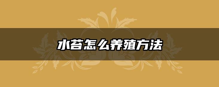 水苔怎么养殖方法