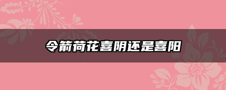 令箭荷花喜阴还是喜阳