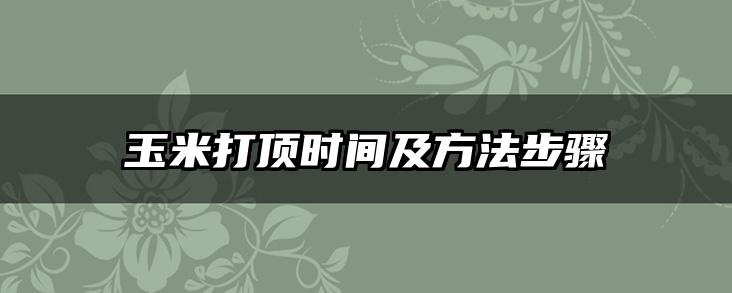 玉米打顶时间及方法步骤