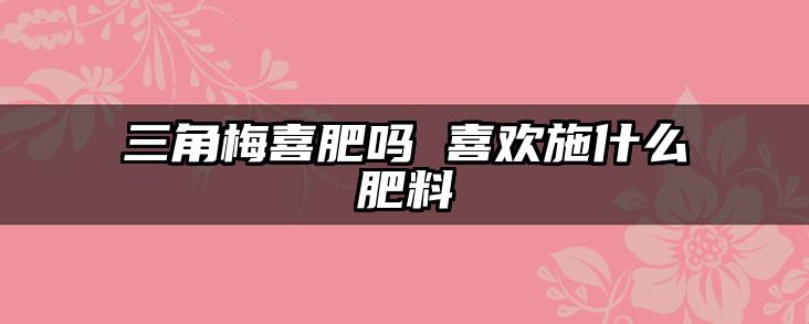 三角梅喜肥吗 喜欢施什么肥料