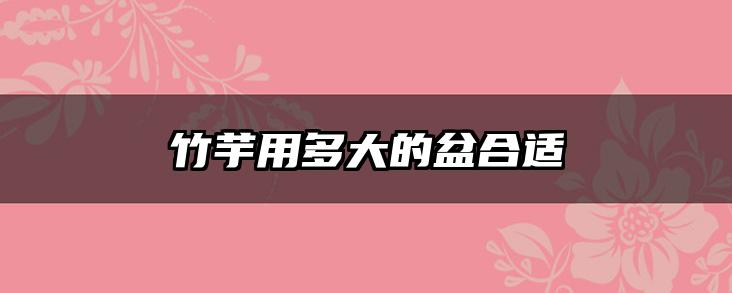 竹芋用多大的盆合适