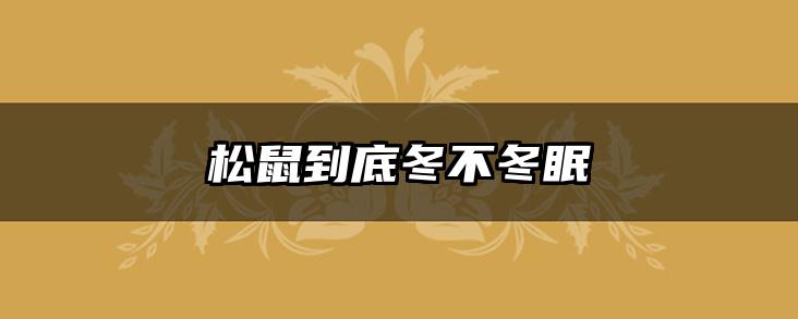 松鼠到底冬不冬眠