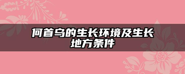 何首乌的生长环境及生长地方条件