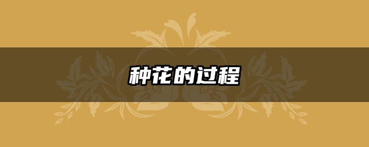 种花的过程