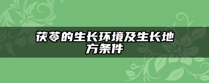 茯苓的生长环境及生长地方条件