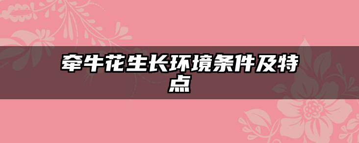 牵牛花生长环境条件及特点