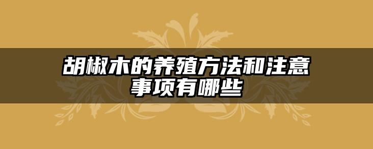 胡椒木的养殖方法和注意事项有哪些