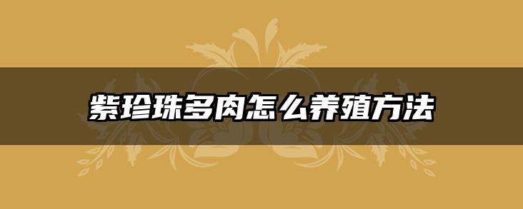 紫珍珠多肉怎么养殖方法