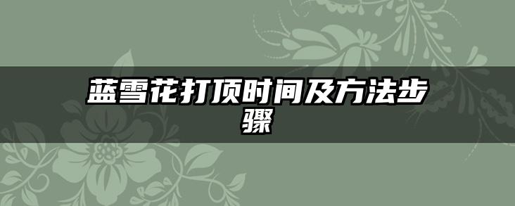 蓝雪花打顶时间及方法步骤