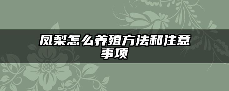 凤梨怎么养殖方法和注意事项