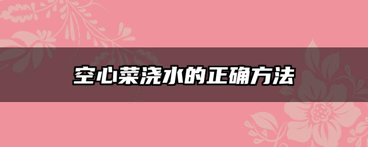 空心菜浇水的正确方法