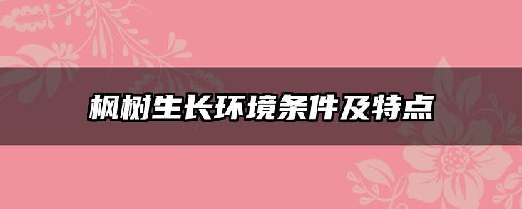 枫树生长环境条件及特点