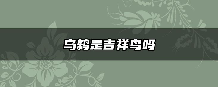 乌鸫是吉祥鸟吗