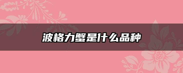 波格力蟹是什么品种
