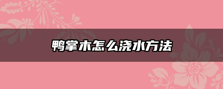 鸭掌木怎么浇水方法