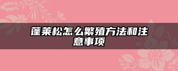 蓬莱松怎么繁殖方法和注意事项
