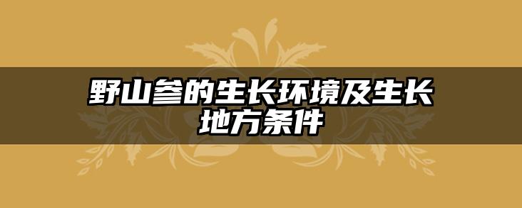 野山参的生长环境及生长地方条件