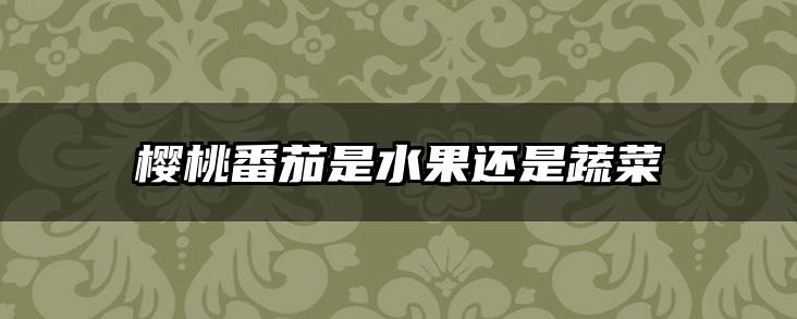 樱桃番茄是水果还是蔬菜