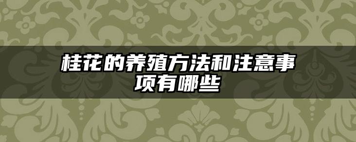 桂花的养殖方法和注意事项有哪些