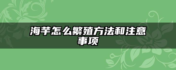 海芋怎么繁殖方法和注意事项