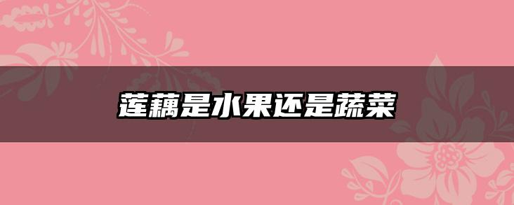 莲藕是水果还是蔬菜