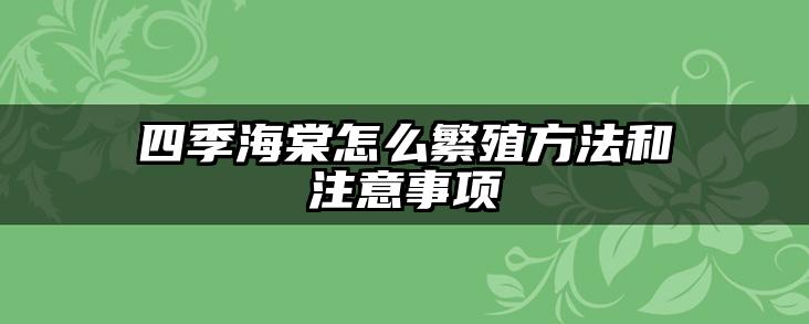 四季海棠怎么繁殖方法和注意事项