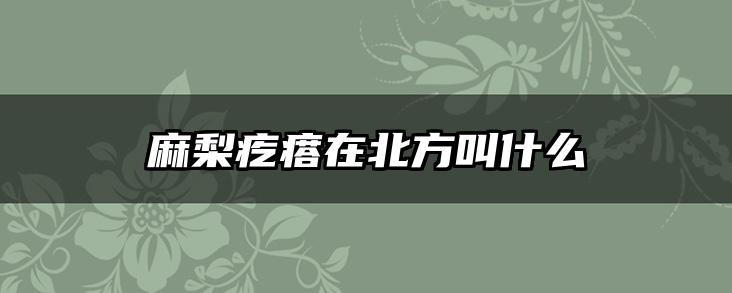 麻梨疙瘩在北方叫什么