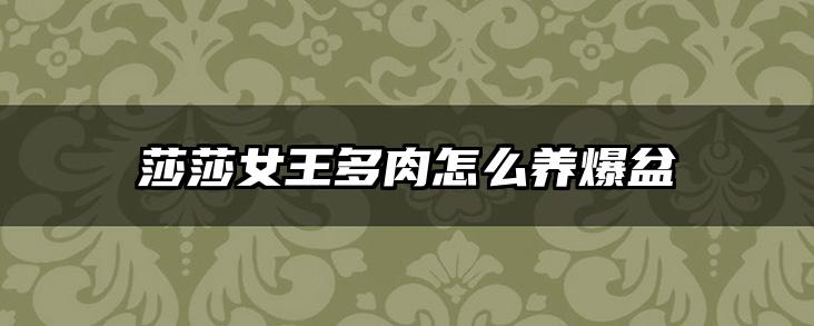 莎莎女王多肉怎么养爆盆