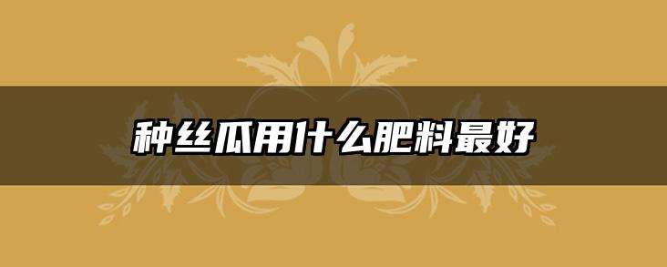 种丝瓜用什么肥料最好