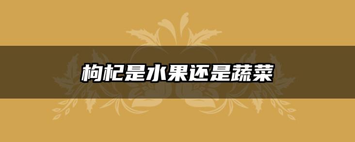 枸杞是水果还是蔬菜