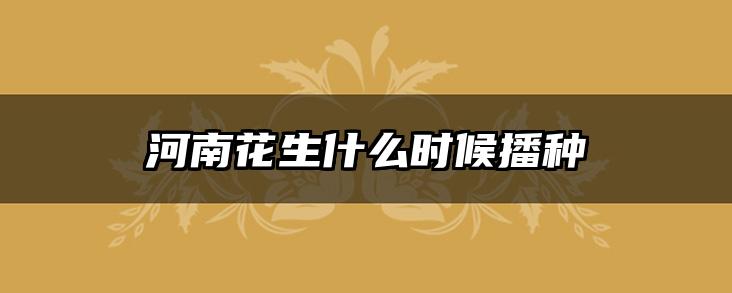 河南花生什么时候播种