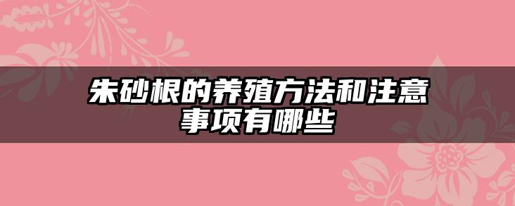 朱砂根的养殖方法和注意事项有哪些
