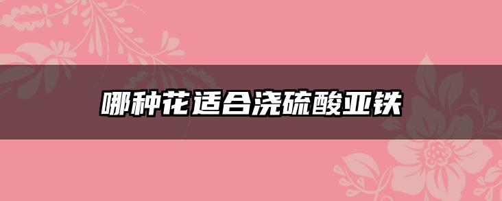 哪种花适合浇硫酸亚铁