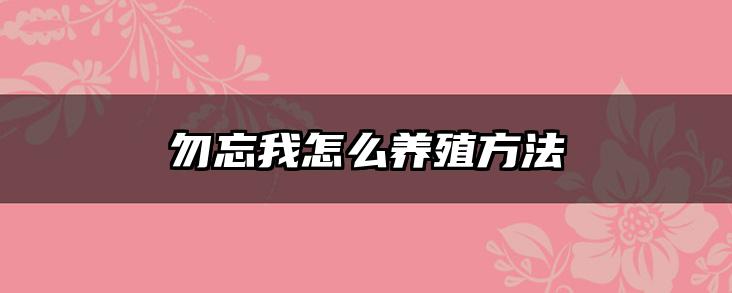 勿忘我怎么养殖方法