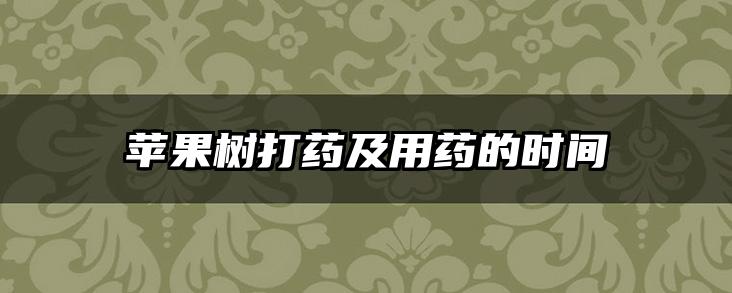苹果树打药及用药的时间