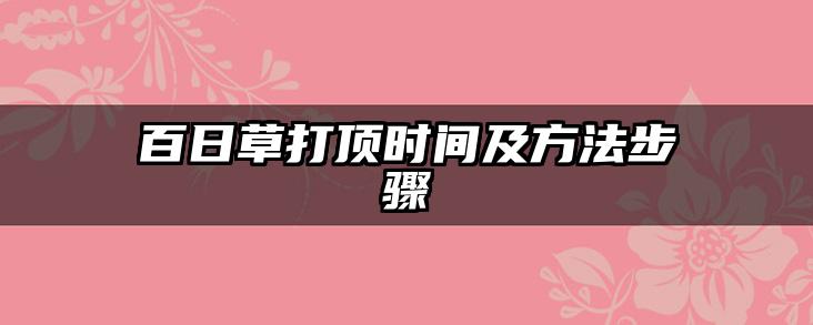 百日草打顶时间及方法步骤